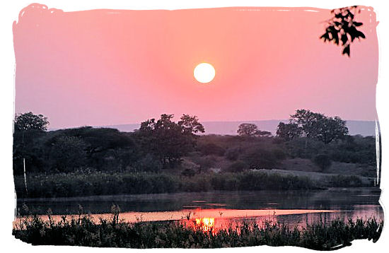 Early morning in the African bushveld