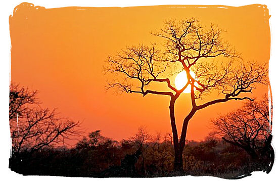 Sunrise over the African bushveld