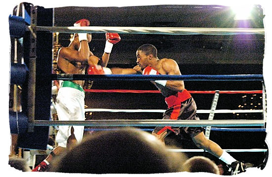 Action inside boxing ring - South Africa Sports Top Ten South African Sports