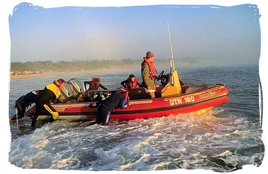 Getting out to sea for an early morning dive - Activity Attractions in Cape Town South Africa and the Cape Peninsula