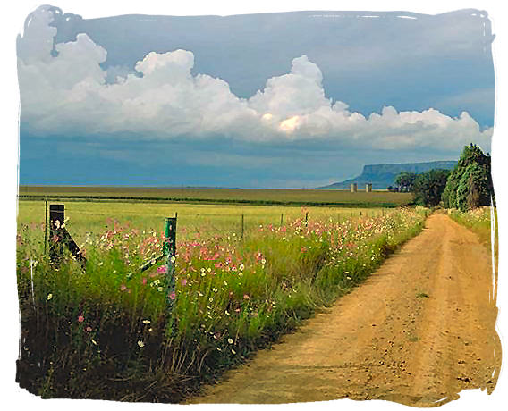 Farmroad in the Free State province