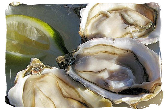 The famous and deliciously fresh oysters straight from the Knysna River estuary - Knysna Activities, Attractions and Festivals in South Africa