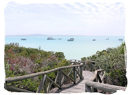 View of the Lagoon with the Houseboats floating in the distance - West Coast National Park Accommodation, South Africa National Parks