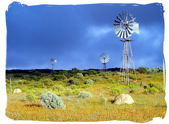 Windpumps in the Namaqualand landscape - Namaqualand National Park South Africa, Namaqualand Flowers Spectacle