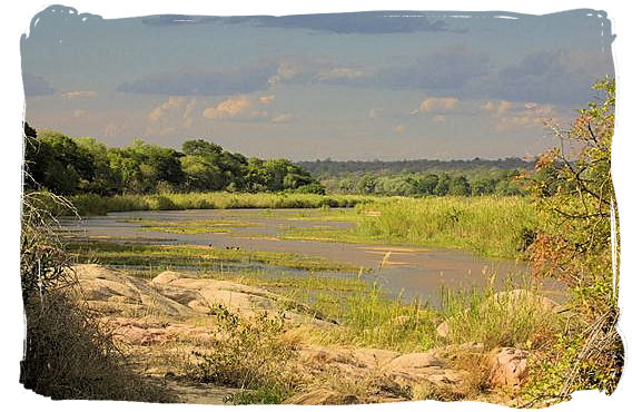 Landscape in the Kruger National Park