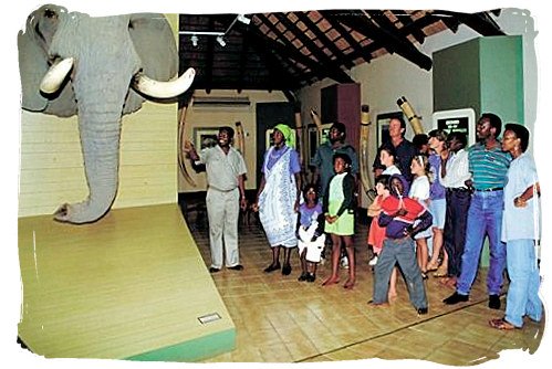 The Elephant museum at Letaba rest camp - Kruger National Park accommodation