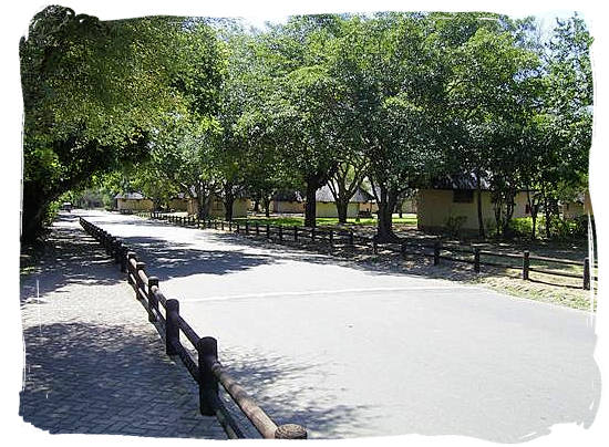 Main camp road running from the entrance gate into the Camp - Skukuza Safari, Travel and Accommodation