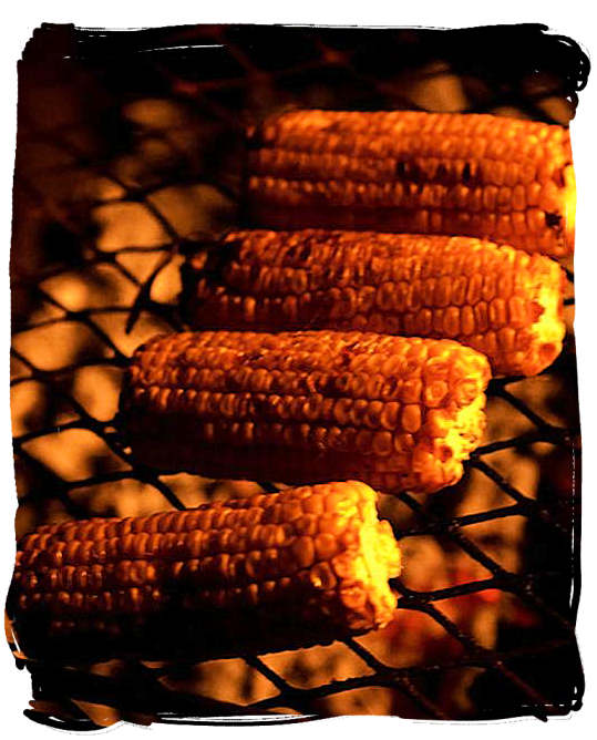 Mielies (maize cobs) grilled directly on the grill over the coals are a delicacy not to be missed - South African barbecue tips and ideas