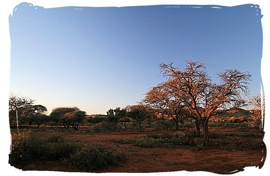 Sunset in Mokala Park - Mokala National Park in South Africa, endangered African animals