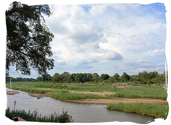 View from the lookout terrace in front of the restaurant - Skukuza Safari, Travel and Accommodation