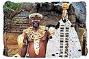 Zulu induna with his shield